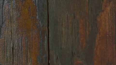 Closeup of a wooden texture, macro Stock Footage 76087995