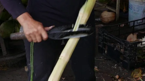 Closeup worker cutting fresh sugarcane in the market Stock Footage 81092598