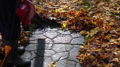 Closeup of worker with leaf blower clean the sidewalk. serviceman blowing leaves Stock Footage 191929040
