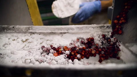 Closeup of worker's hands in gloves loading sugar to the conveyor with cranberry Stock Footage 136708275
