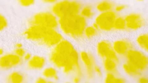 Closeup of yellow and red drops of watercolor on the paper slow motion Stock Footage 76196870