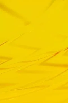 Closeup on yellow background Stock-Fotos