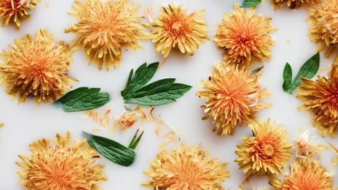 Closeup of yellow dandelion flowers float in white milk. Fashionable layout Video stock 150249753