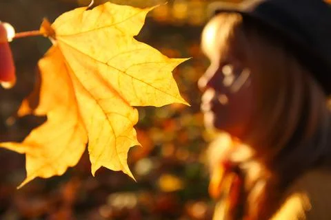 Closeup yellow maple leaf background. Blurred portrait of young Caucasian blo Stock Photos