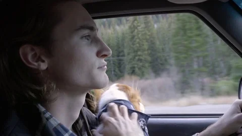Closeup Of Young Man Driving Through The Mountains With His Adventure Dog Stock Footage 70284164