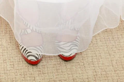Closeup of zebra pattern shoes and wedding dress Stock Photos