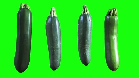 Closeup Zucchi isolate on green screen background. 3D animation. 4K. Stock Footage 281981323