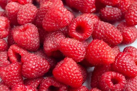 A closeups macro shot of a dense pile of fresh ripe red raspberries. Summer.. Stock Photos