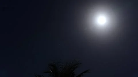 Closing aperture on tropical sun Stock Footage 306016573