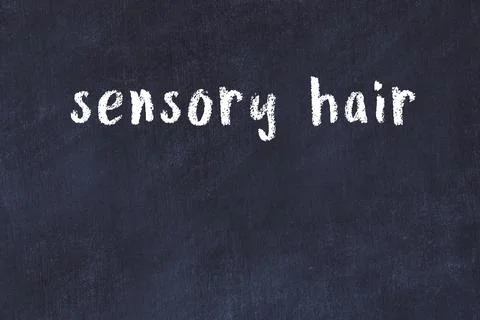 Closing browser window with caption sensory hair. Chalk drawing. Concept of d Фото