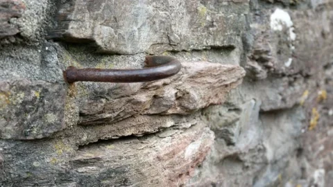 Closing farm gate Vidéo 162486834