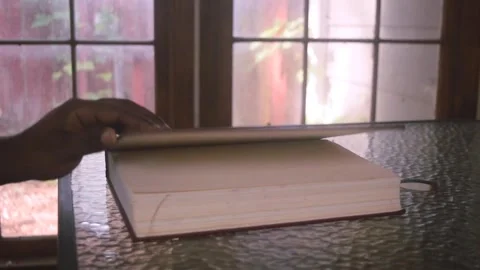 Closing a large red macropaedia after quiet reading session in the sunroom. Video stock 337435179