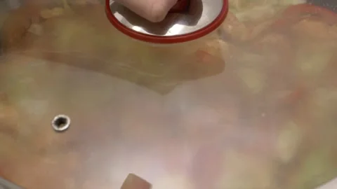 Closing a lid over a frying pan with chicken and vegetables stir fry 库存影片 290090199