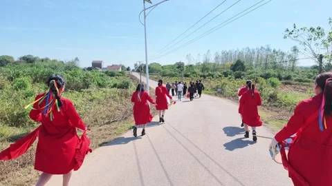 Closing procession views, Hubei 스톡 동영상 347246205