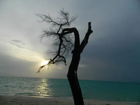 Closing the sun Stock Photos