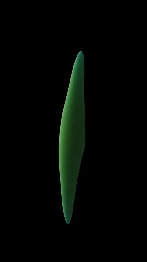 Closterium desmid 库存影片 284048236