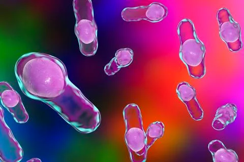 Clostridium bacteria, illustration Stock Illustration