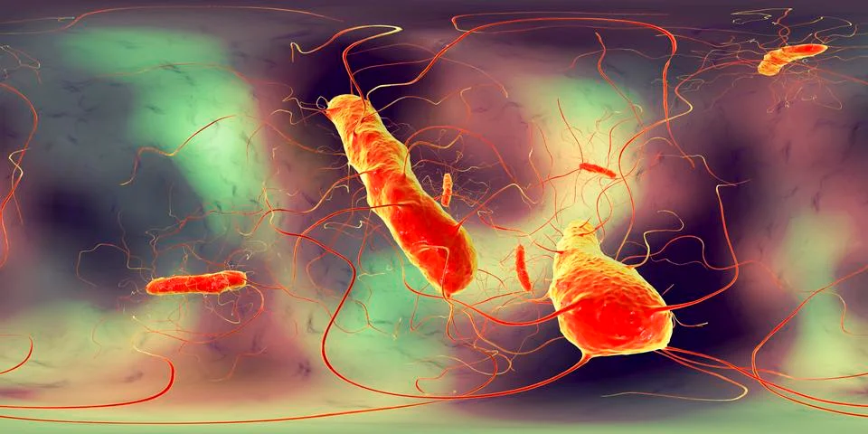 Clostridium difficile bacteria, 360 degree spherical panorama view Illustrazione stock
