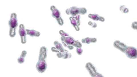 Clostridium difficile bacteria Stock Footage 84830715