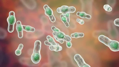 Clostridium difficile bacteria Stock Footage 84831919