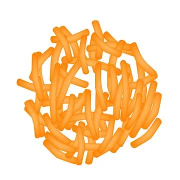 Clostridium difficile. Pathogenic flora. The bacterium causes intestinal Stock Illustration