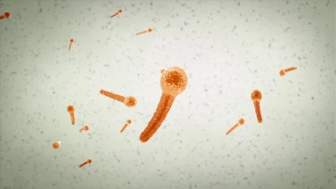 Clostridium tetani Video stock 281699977