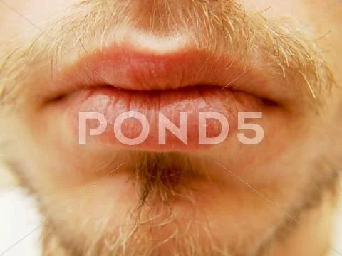 Closup of dry male lips, surrounded with beard Stock Photos
