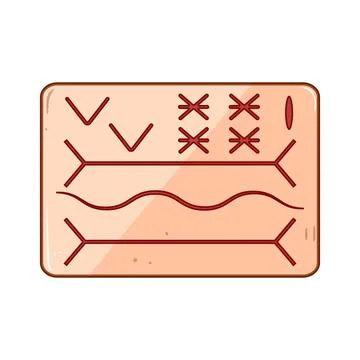 Closure suture practice pad cartoon vector illustration Stock Illustration