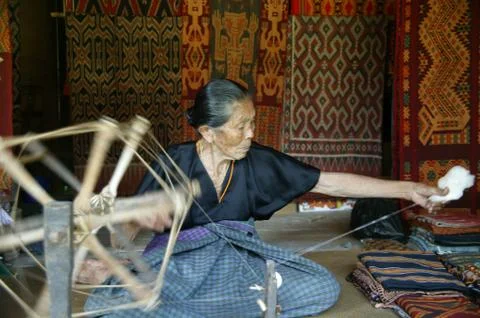 Cloth weavers 库存照片