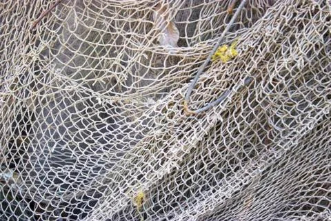 Cloth wire mesh Stock Photos