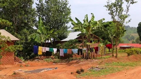 Clothes are being dried, hanging on the rope after laundry in African village. Stock-Footage 201369230