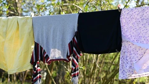 Clothes dry Stock Footage 108138109