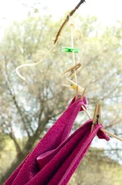 Clothes dryer on tree branch Stock Photos