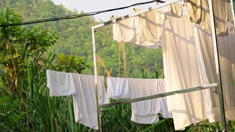 Clothes Drying on Clothesline in Green Forest Video stock 344020774