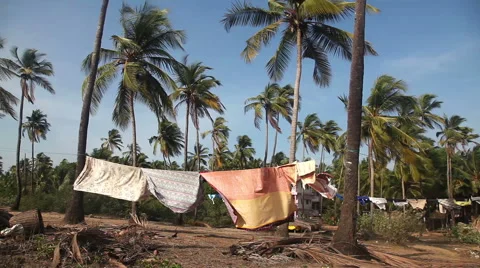 Clothes drying on laundry line by palm trees on Arambol beach, North Goa Stock Footage 56233276