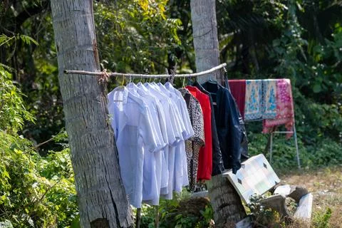 Clothes drying on line between palm trees Bang Krachao Stock Photos