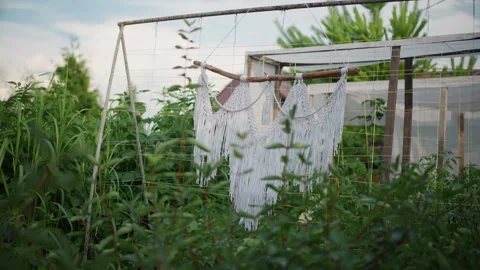 Clothes drying outside. Laundry hangs in garden breeze. Sunlit wooden frame Stock Footage 337653157