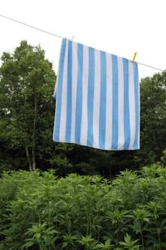 Clothes drying Foto stock