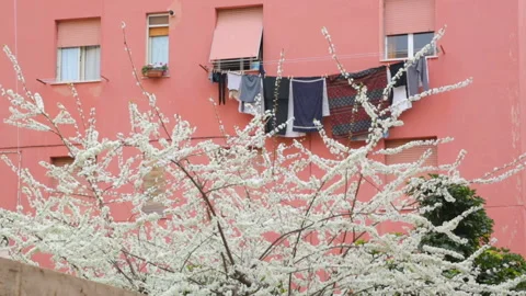 Clothes drying on the ropes Stock Footage 107563378