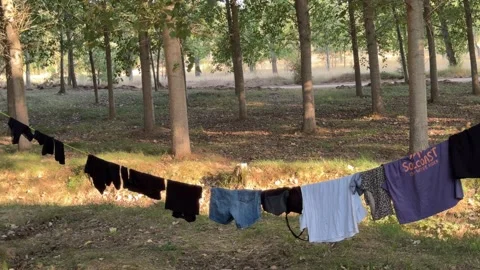 Clothes hanging on a clothesline drying outdoors Vídeo Stock 344146932
