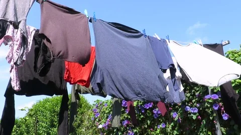 Clothes hanging out moving by the wind Stock Footage 70656451