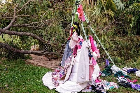 Clothes Line Damaged By Fallen Tree Stock Photos