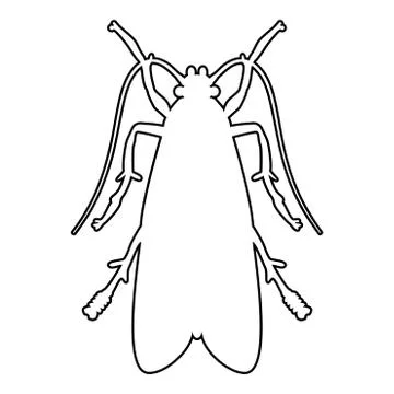 Clothes moth Clothing moth Fly insect pest icon black color outline vector il Stock Illustration