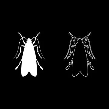 Clothes moth Clothing moth Fly insect pest icon set white color vector illust Stock Illustration