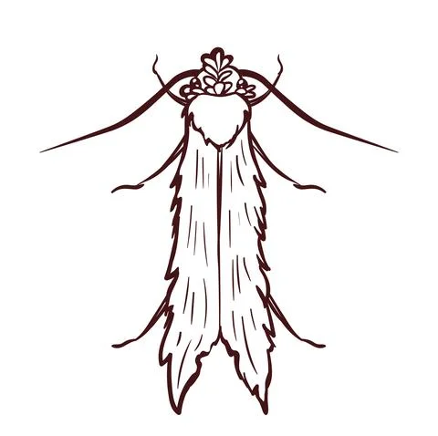 Clothes moth, macro of insect. Pest control. Stock Illustration