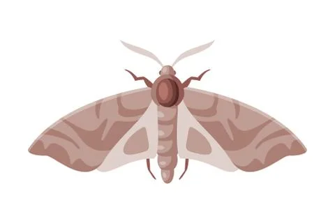 Clothes Moth Winged Insect, Pest Control and Extermination Concept Vector 스톡 일러스트