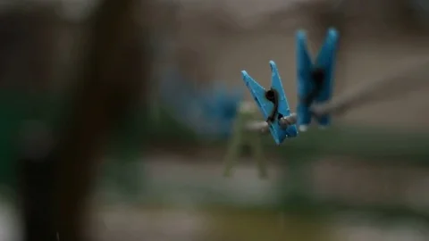 Clothes Pegs Stock Footage 81340455