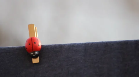 Clothes pegs ladybug Stock Footage 36533132