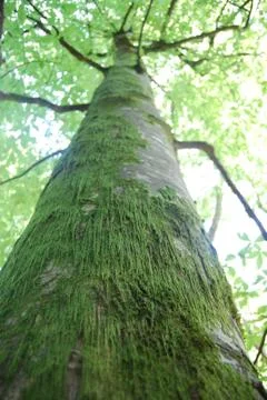 Clothes 库存照片