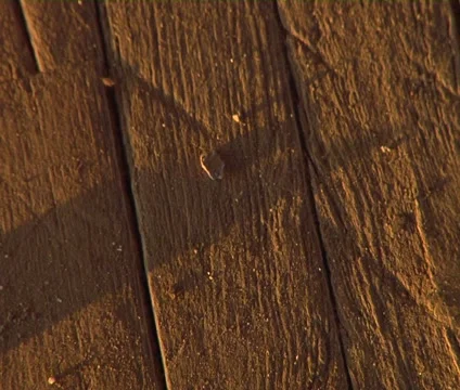 Clothes pin pan left Video stock 2328037